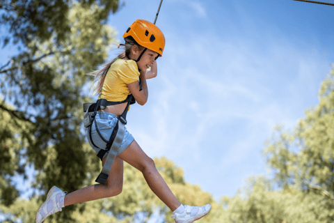 TreeClimb Adelaida: Emocionante escalada para pequeños aventureros