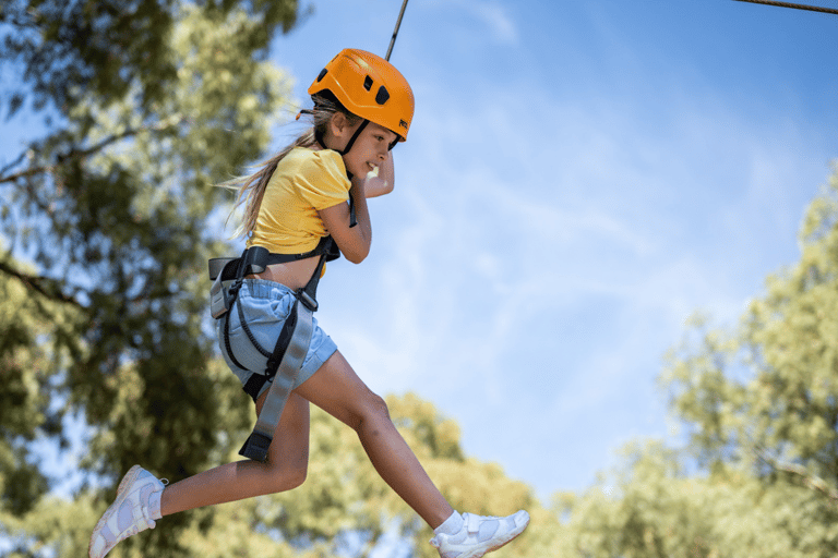 TreeClimb Adelaide : Une escalade passionnante pour les petits aventuriers