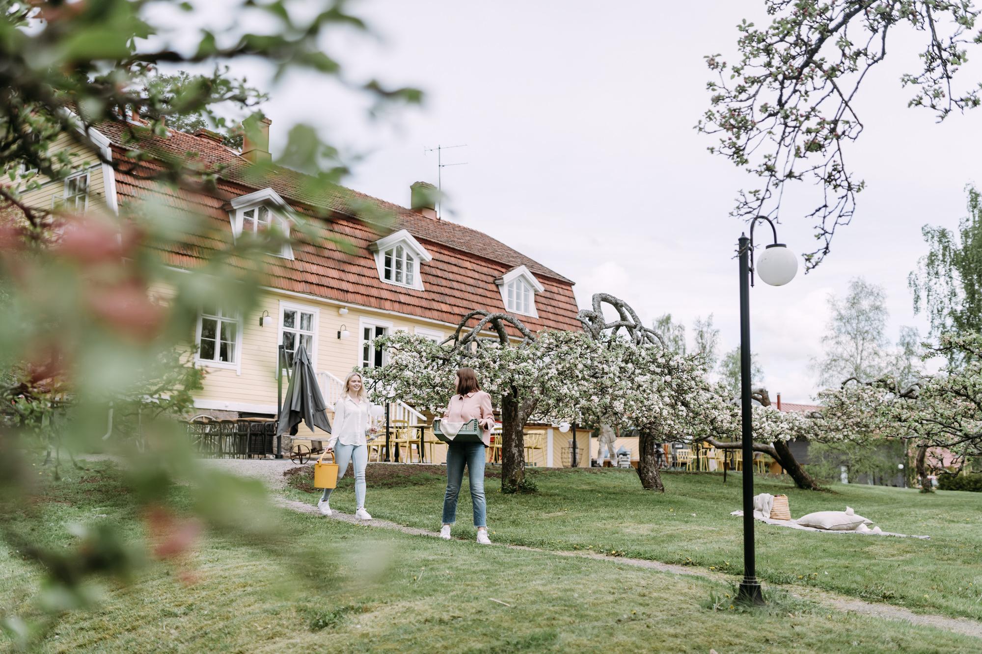 Naantali: Preiskrönendes Picknick-Erlebnis im Apfelgarten