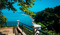 Batumi, Exploring Botanical Garden + Family Wine Tasting - Housity