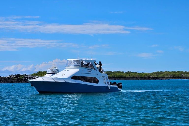 Santa Cruz: Ferry ticket to Isabela Island