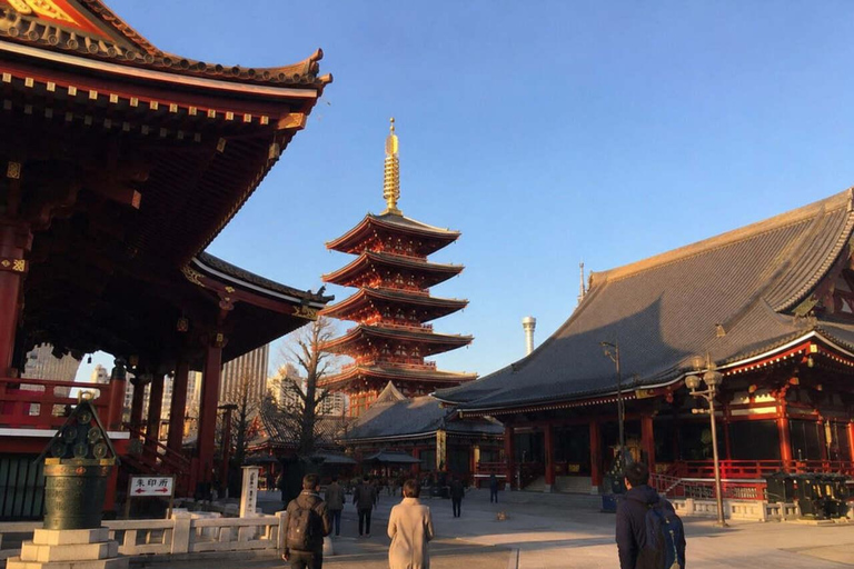 Tokyo: Asakusa Heritage Walk, Skytree & Sumida with Lunch