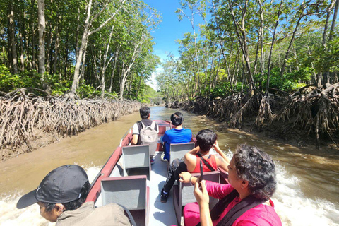 Excursão de 1 dia à floresta de mangue de Can Gio e à Ilha dos Macacos