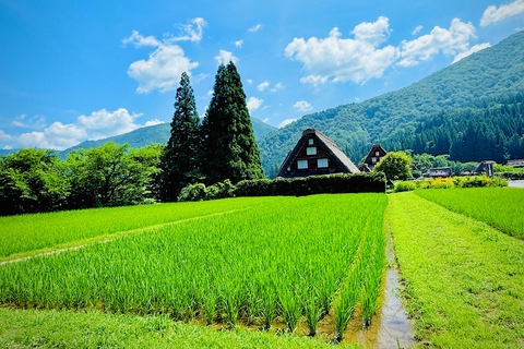 Kanazawa: Shirakawago, Gokayama, and Takayama Full Day Trip