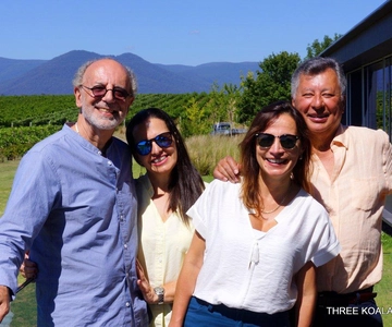 GRUPPO PRIVATO: Tour privato della Yarra Valley con pranzo