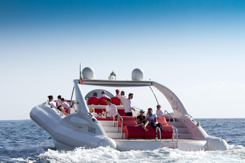 Tenerife: Opera 60 Whale & Dolphin Cruise with Lunch