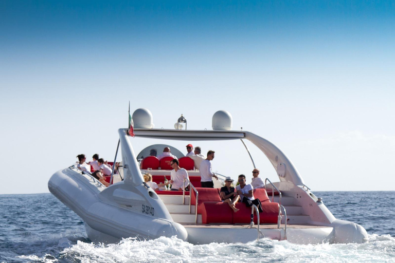 Tenerife: Opera 60 Whale & Dolphin Cruise with Lunch