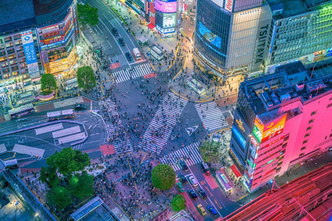 3/5/7 Days Private Japan Tour with English Speaking Guide 3 Days Private Tokyo or Kyoto Tour with English Guide