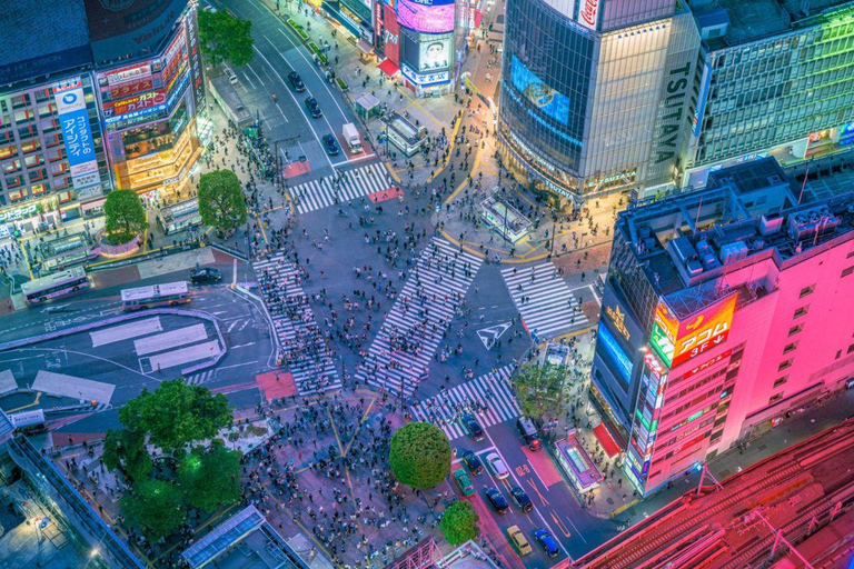 3/5/7 Days Private Japan Tour with English Speaking Guide 3 Days Private Tokyo or Kyoto Tour with English Guide