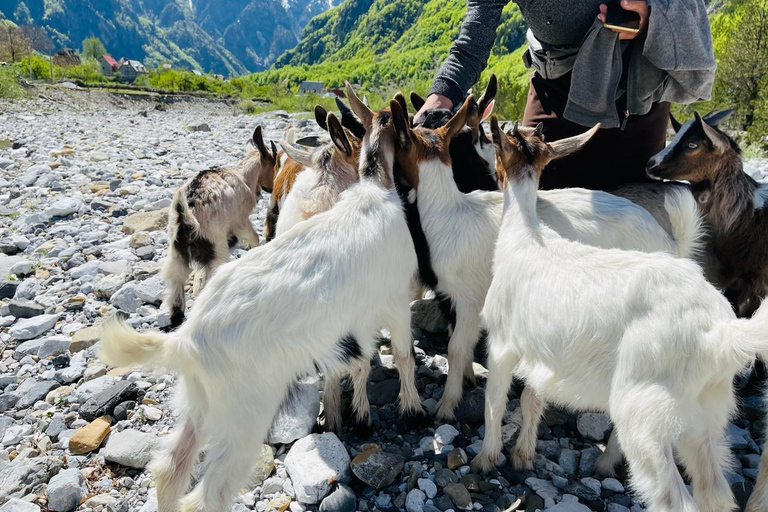 Full day tour to Shkoder - Theth
