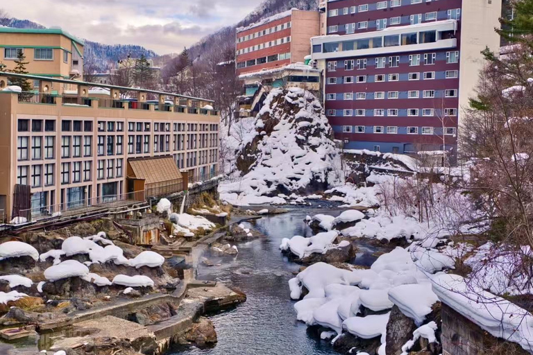 Sapporo: Jozankei Snow Lantern Path Trip-Private group