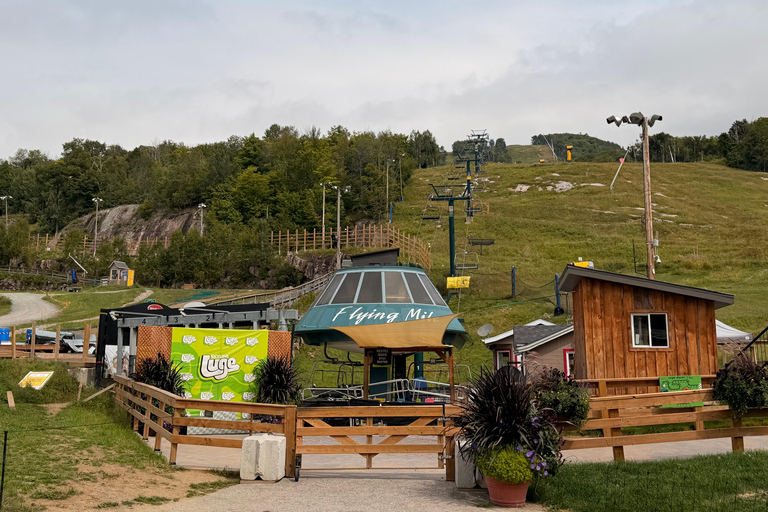 Mont-Tremblant: Private Day Trip with Treetop Walk & Gondola