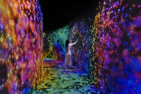 From Dubai: Abu Dhabi City Tour With teamLab Experience