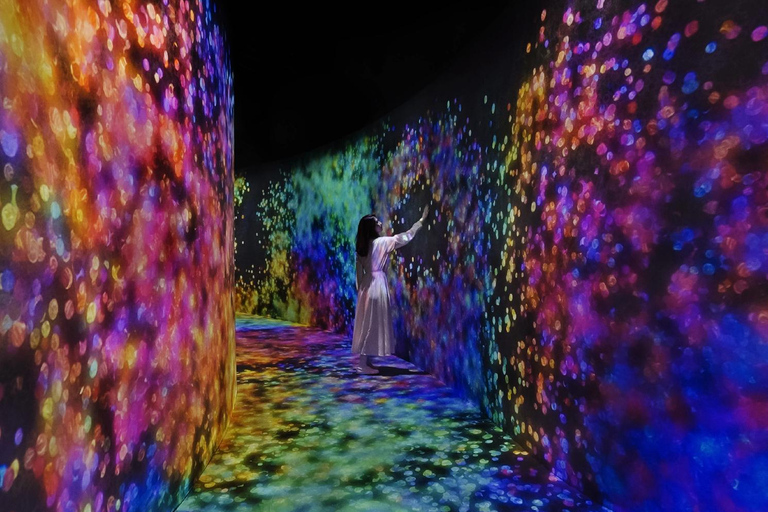From Dubai: Abu Dhabi City Tour With teamLab Experience