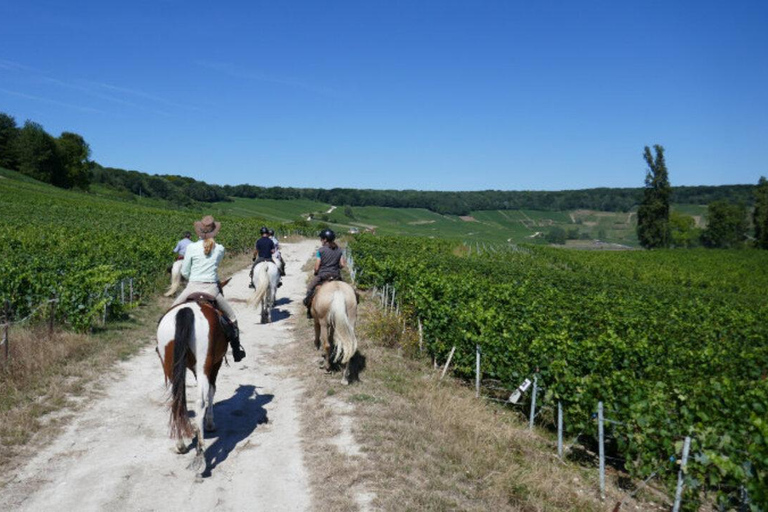 Reims: Horseback Riding Tour with Lunch