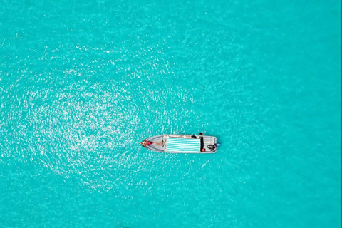 Passeio com snorkel e golfinhos na Ilha Mnemba ZANZIBAR