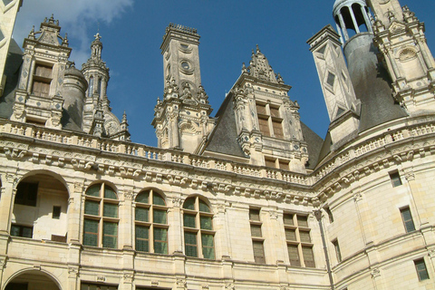 Privater Besuch der Schlösser im Loiretal ab Paris