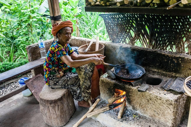 As maravilhas das cachoeiras de Bali: Explorando as obras-primas da natureza