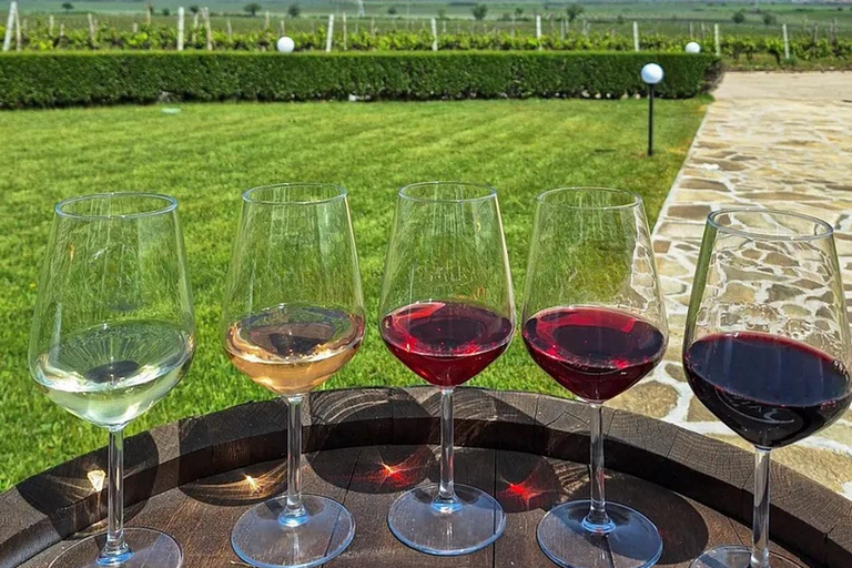 From Plovdiv: Wine Workshop with Blending and Tasting