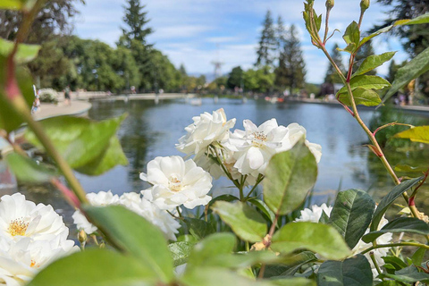 Bariloche: Andean Region Tour to El Bolsón & Lago Puelo