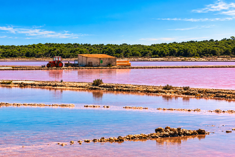 Ibiza: Flamingo Hike and Sunset in Ses Salines
