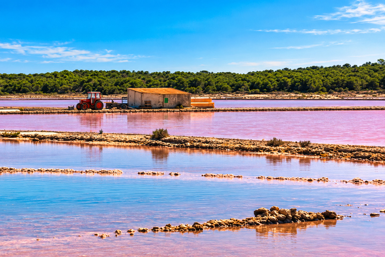 Ibiza: Flamingo Hike and Sunset in Ses Salines