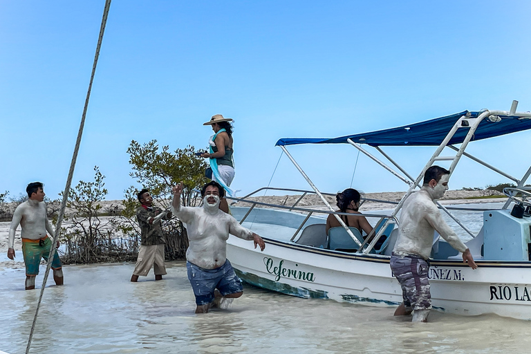 Desde Cancún: excursión de un día a Río Lagartos y Las Coloradas y almuerzo