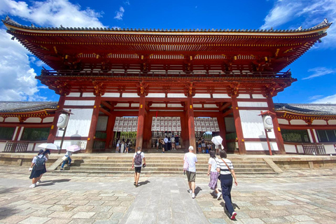 Entdecke Nara, Kiyozumi-dera &amp; Fushimi Inari von Osaka aus