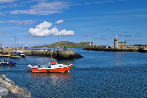 Dublin: Vandring längs kusten i HowthDublin: Vandring längs kusten på Howth Peninsula