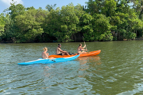 Bentota/Beruwala: Galle Fort, Koggala Lake & Kayaking Tour