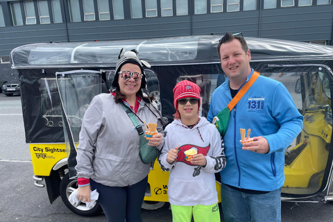 Private Reykjavík Tuk Tuk Extended Tour