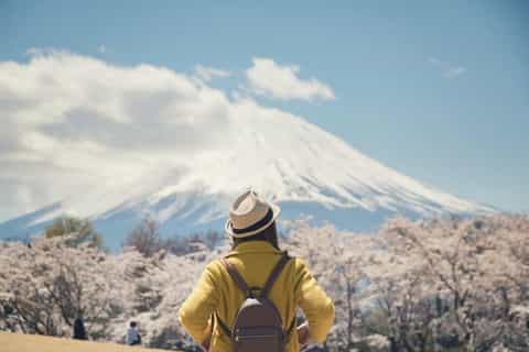 The best Narita Viewing points 2026 - Free cancellation | GetYourGuide