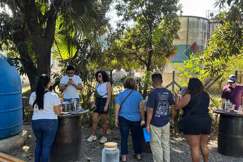San Salvador: Cihuatán Rum Distillery Tour with Tasting