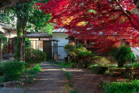 Von Kyoto aus: Tagestour zum Biwa-See und Omi Hachiman mit Mittagessen