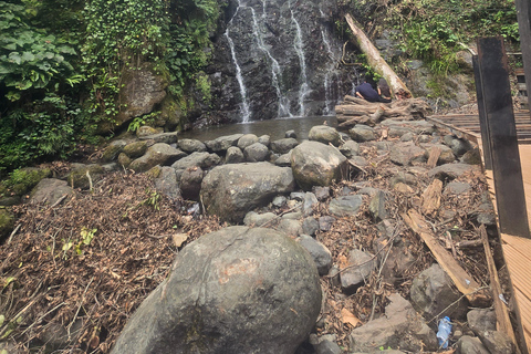 Tour privado de día completo de Batumi a las Cascadas