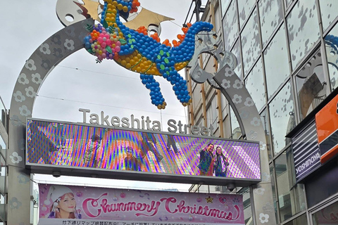 Tokyo Luxury Private City Tour Customizable with Guide