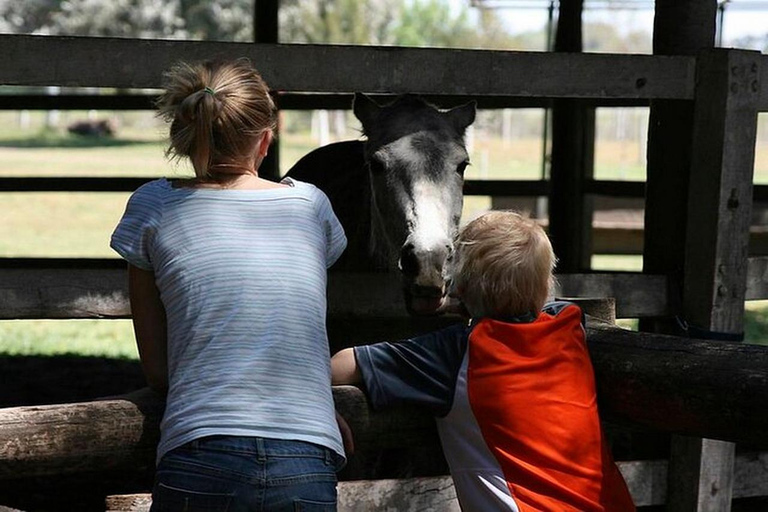 Gaucho Day Tour Don Silvano Estancia From Buenos Aires
