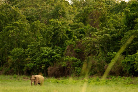 Nepal Tour: Kathmandu, Pokhara & Chitwan Park