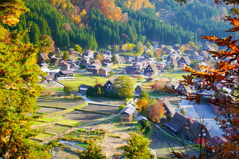 Nagoya:Shirakawa-go Gassho Village&Takayama Old Town Tour