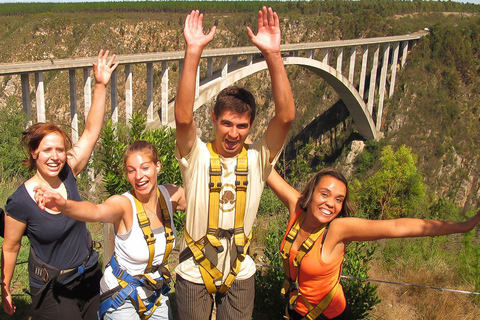 Da Città del Capo: 3 giorni di Garden Route e safari in 4x4Tour di gruppo condiviso con soggiorno in ostello con dormitorio condiviso