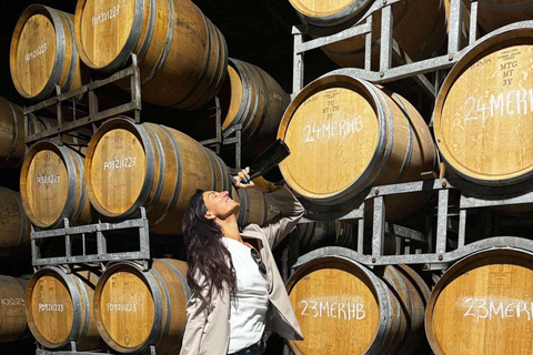 Auckland: Wijnstreek tour met proeverijen en een gastronomische lunchAuckland: Wijnstreek tour met proeverijen en een lekkere lunch