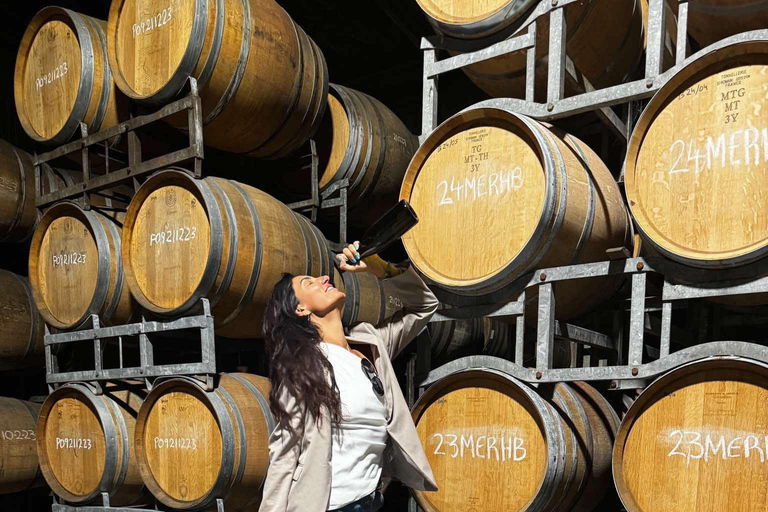 Auckland: Wijnstreek tour met proeverijen en een gastronomische lunchAuckland: Wijnstreek tour met proeverijen en een lekkere lunch