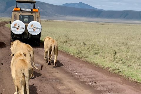 Tanzania: 7-dniowa luksusowa wycieczka safari z lotem balonem na ogrzane powietrze