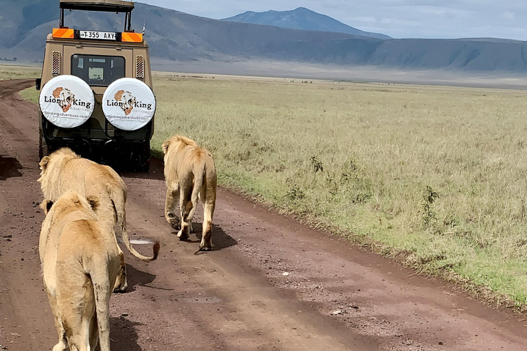 Tanzanie : 7 jours de safari de luxe avec vol en montgolfière