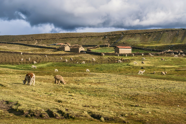 Cusco: Ausangate ATV Adventure & Earth Offering Ceremony