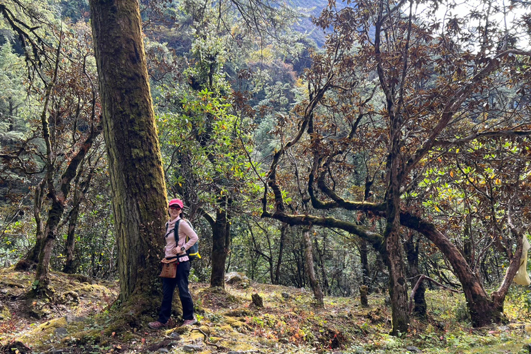 Un Trekking de 10 Días a Langtang: Naturaleza, Cultura y Aventura