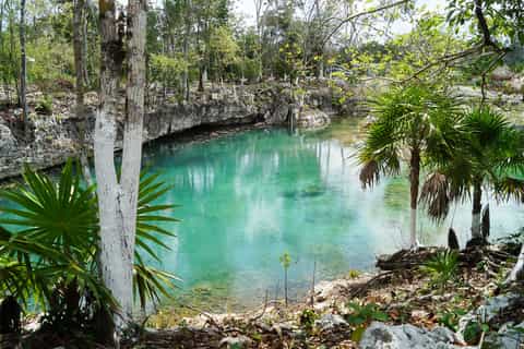 Tour Image