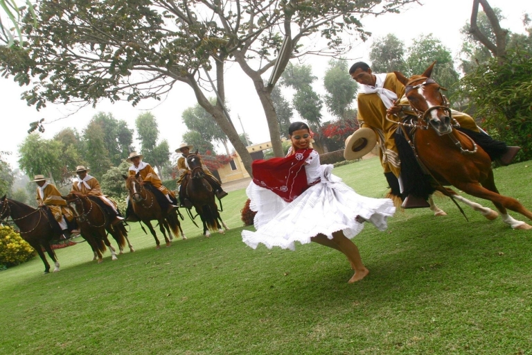 Trujillo: Show of Peruvian Paso Horse & Marinera with lunch Show & lunch - Transfers not included