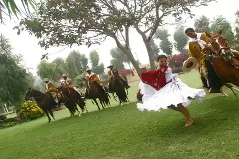 Trujillo: Espectáculo de Caballo Peruano de Paso y Marinera con almuerzo