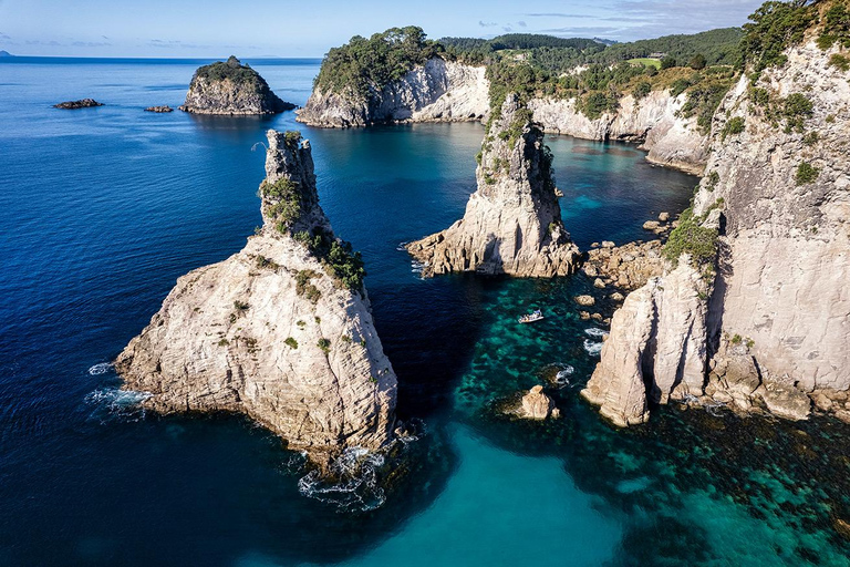 Whitianga: Cathedral Cove Cruise, Caves & Snorkelling